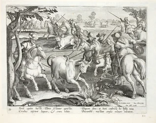 Cavalieri sardi catturano tori con corde, illustrazione da 